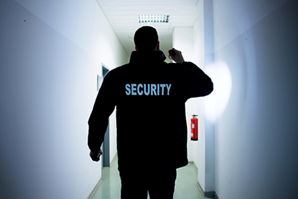 Bravewatch mitigate crimes of opportunity