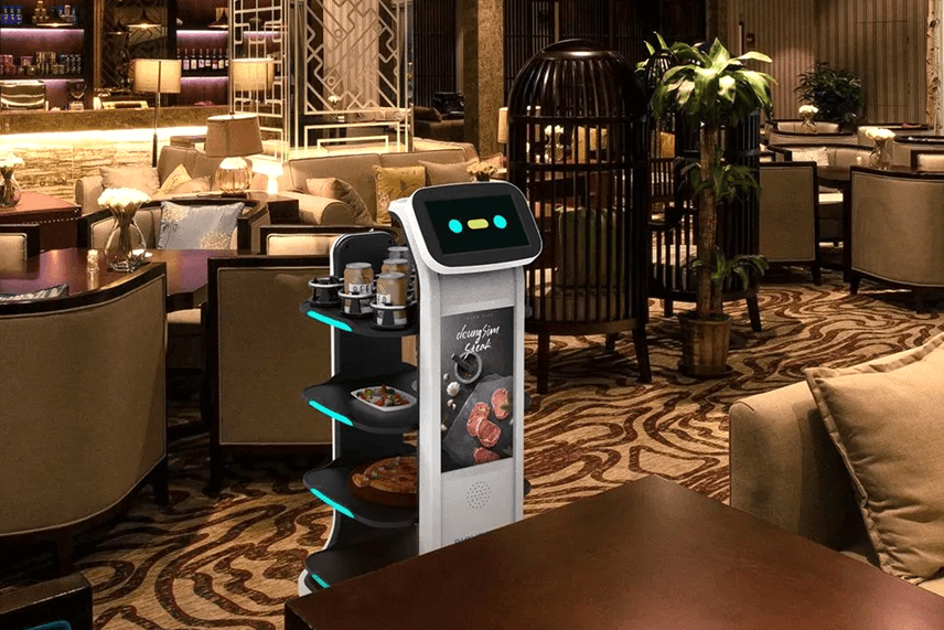 Richtech Robotics Matradee Plus